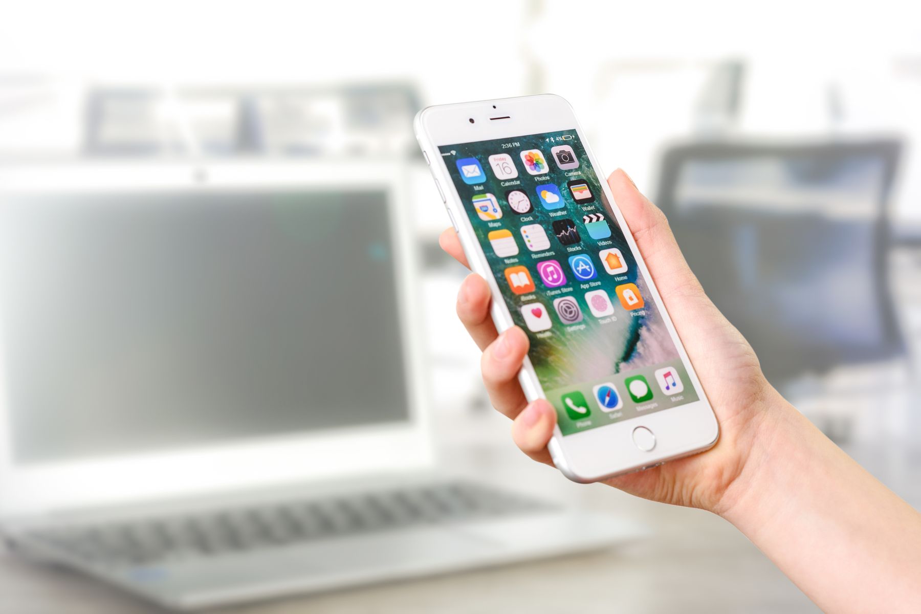 A hand holding a phone mid search